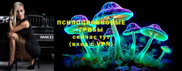 трава Коряжма