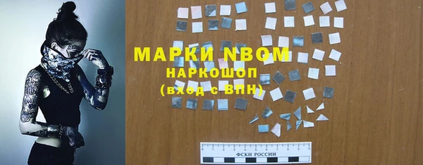 трава Коряжма