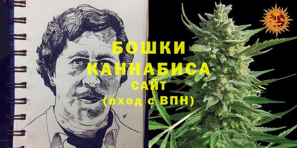 трава Коряжма