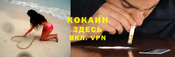 трава Коряжма