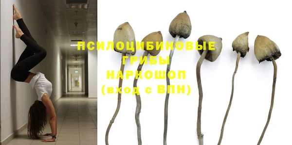 бошки Костерёво