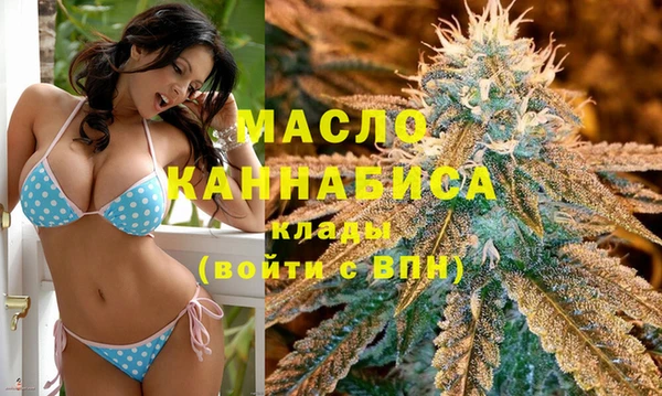 трава Коряжма