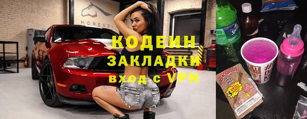 трава Коряжма