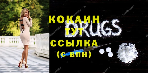 трава Коряжма
