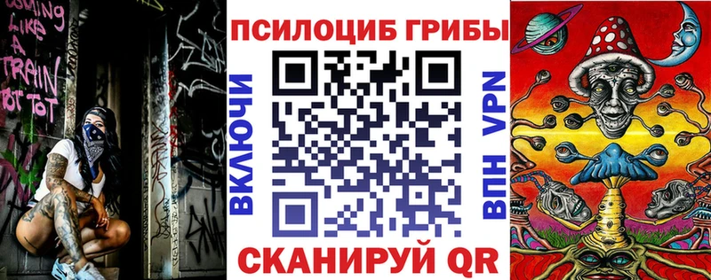 Галлюциногенные грибы MAGIC MUSHROOMS  закладка  Монино 